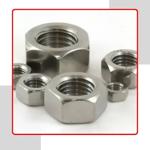 Stainless 405 Steel Hex Nuts in UAE